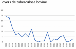 Ausbrüche von Rinder-Tuberkulose